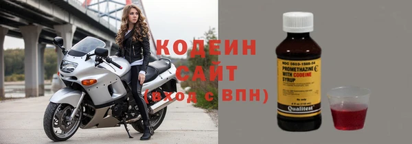 СК Елизово