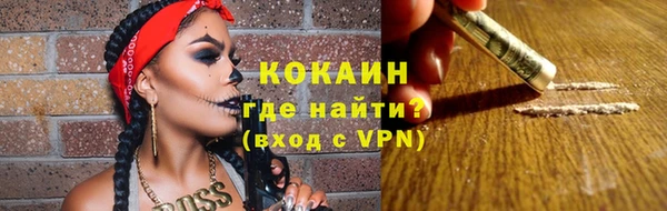 СК Елизово