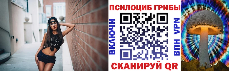 ссылка на мегу вход маркетплейс официальный сайт Галлюциногенные грибы мицелий Приозерск